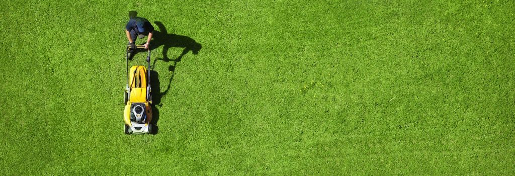 aerial view of man mowing lawn