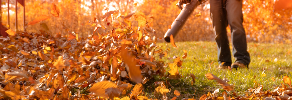 lawn care provider blowing leaves
